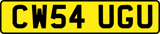 CW54UGU
