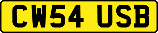CW54USB