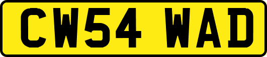 CW54WAD