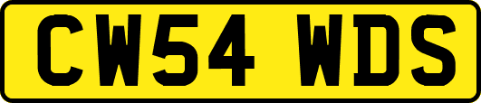 CW54WDS