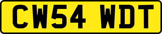 CW54WDT