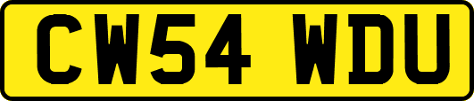 CW54WDU