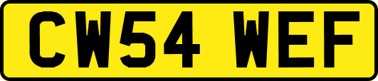 CW54WEF