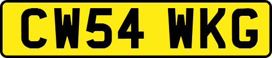 CW54WKG