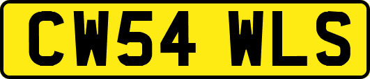 CW54WLS