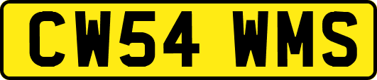 CW54WMS