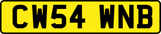 CW54WNB