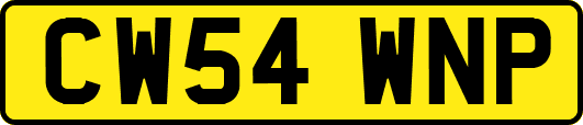 CW54WNP