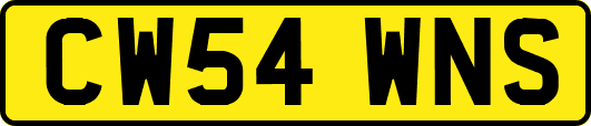 CW54WNS