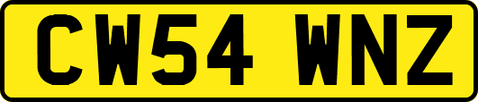 CW54WNZ