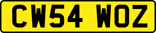 CW54WOZ