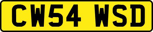 CW54WSD