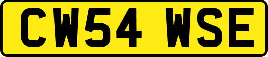 CW54WSE