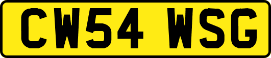 CW54WSG