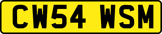 CW54WSM
