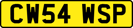 CW54WSP