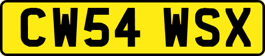 CW54WSX