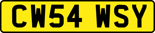 CW54WSY