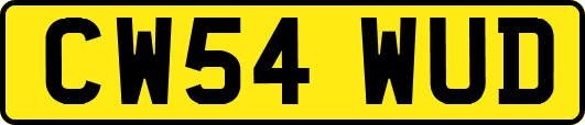CW54WUD