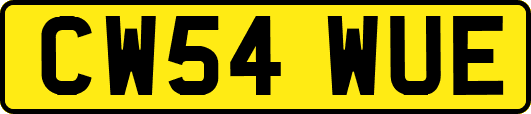 CW54WUE