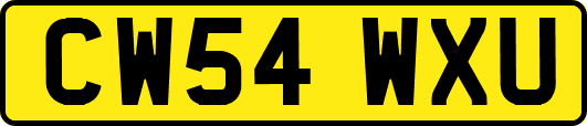 CW54WXU