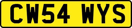 CW54WYS