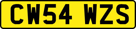 CW54WZS