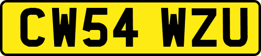 CW54WZU