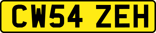 CW54ZEH