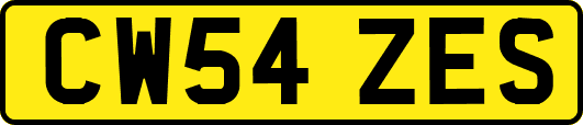 CW54ZES
