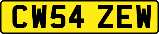 CW54ZEW