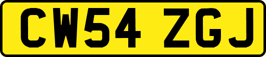 CW54ZGJ