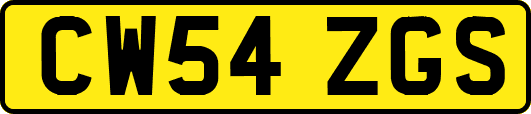 CW54ZGS