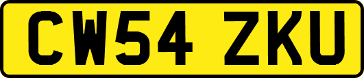 CW54ZKU