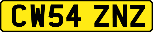 CW54ZNZ