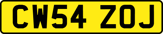 CW54ZOJ