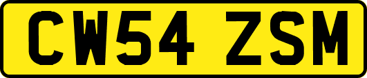 CW54ZSM