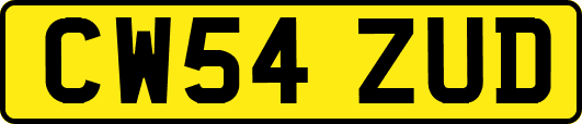 CW54ZUD