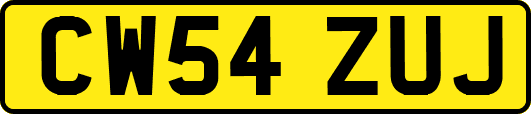 CW54ZUJ