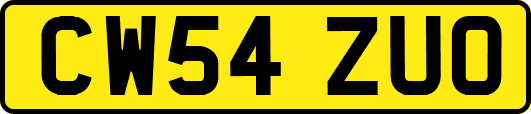 CW54ZUO
