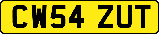 CW54ZUT