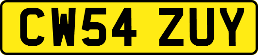 CW54ZUY
