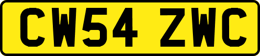 CW54ZWC