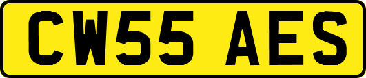 CW55AES