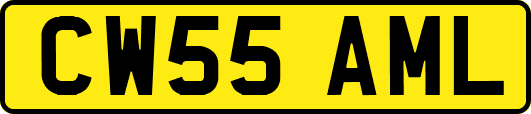 CW55AML