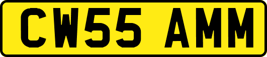 CW55AMM