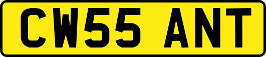 CW55ANT