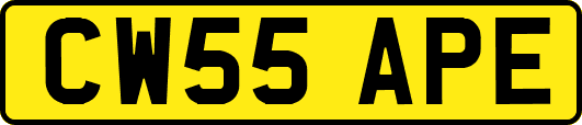 CW55APE