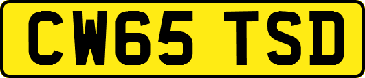 CW65TSD