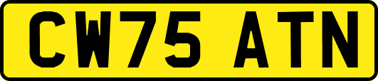 CW75ATN